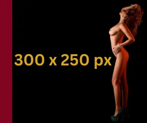 Vorschau 300x250px